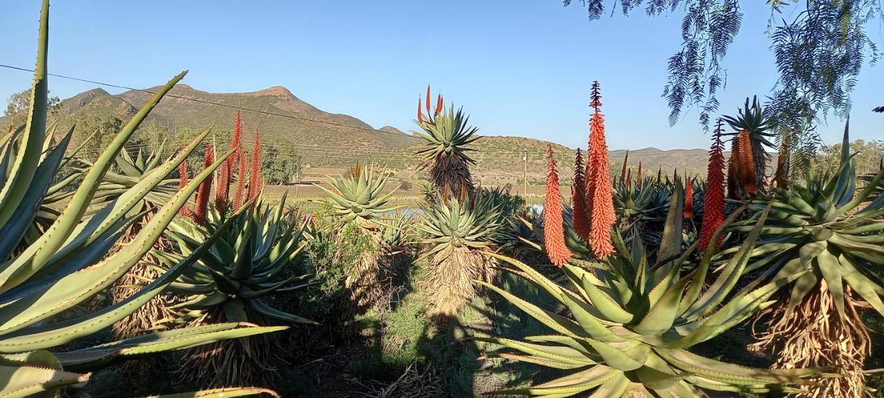 Koedoeskloof Guesthouse Ladismith Exterior foto