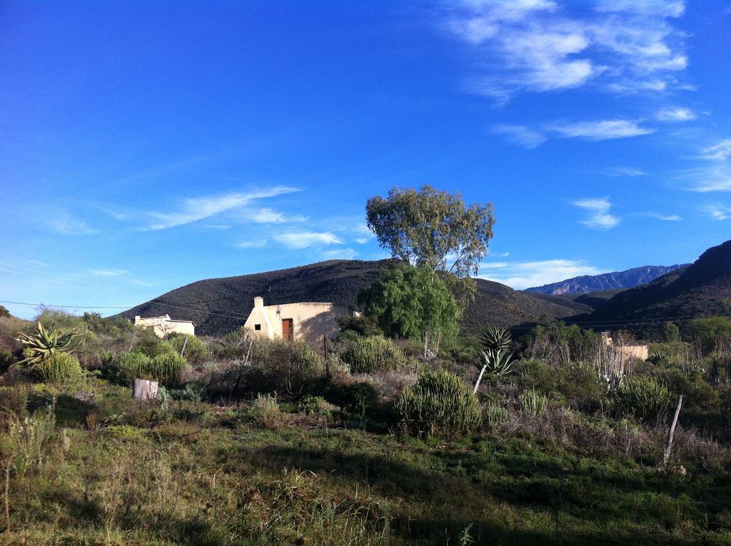 Koedoeskloof Guesthouse Ladismith Exterior foto